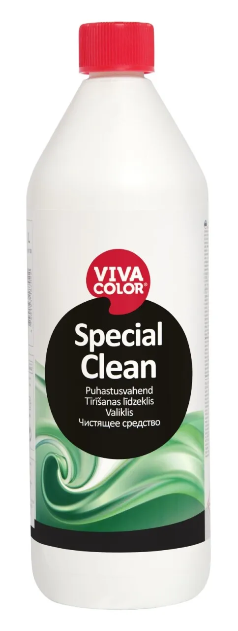 Special Clean