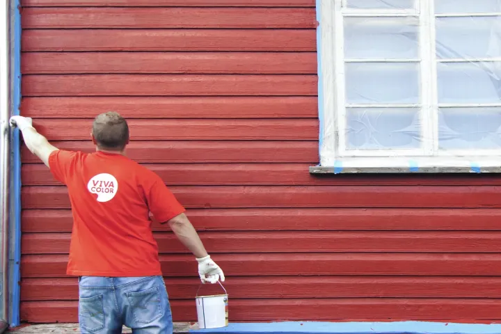 Medinio fasado dažymo vaizdo pamokos