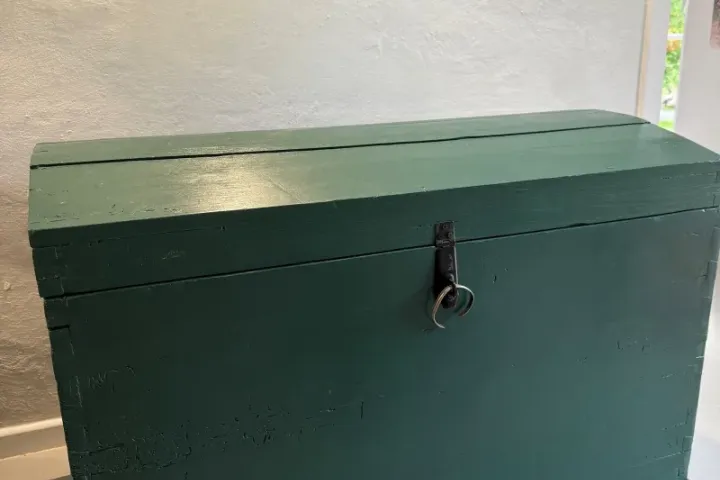 Seno daikto nauja era: Vytaro kuparas atgimė fjordo žalum