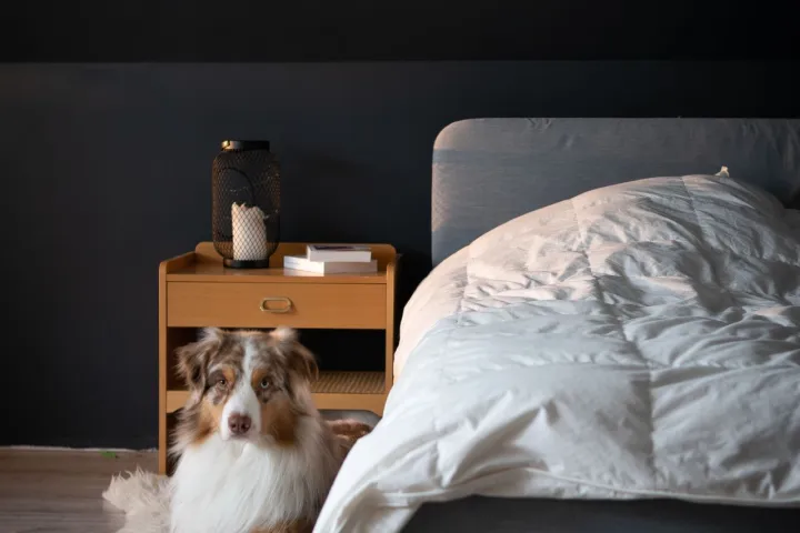 Miegamasis ir namų biuras vienoje erdvėje