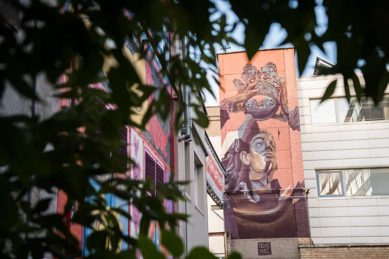 „Odė jaunimui“, Telmo&Miel. Dažyta VIVACOLOR HANSA SOKKEL